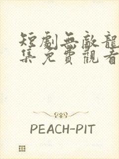 短剧无敌龙帅全集免费观看高清