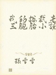 我的总裁老婆是三胞胎小说封面