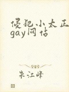 侵犯小太正裸体gay网站封面