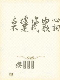 占据你内心的人不是我歌词