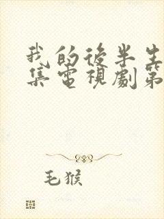 我的后半生42集电视剧第一季