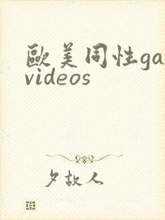 欧美同性gayvideos封面