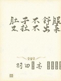 肚子不舒服想拉又拉不出来怎么回事