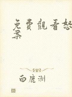 免费观看怒火重案