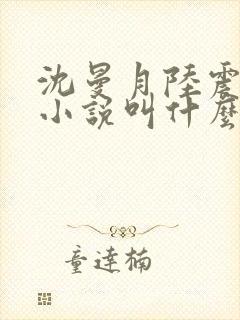 沈曼月陆震霆的小说叫什么封面