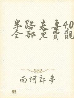 半路夫妻40集全部免费观看封面