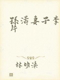 孙涛妻子李莉照片