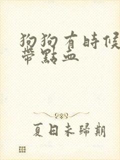 狗狗有时候尿里带点血封面