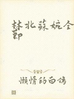 林北苏婉全部章节