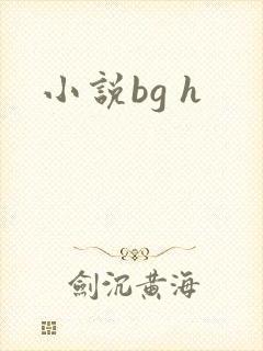 小说bg h