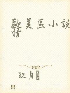 欧美区小说区激情