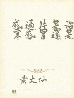 感通片是治疗风寒感冒还是风热感冒封面