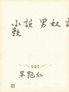 小说 男奴 调教封面