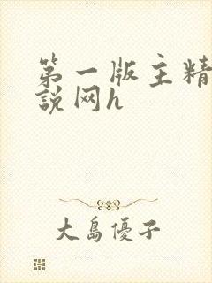 第一版主精品小说网h