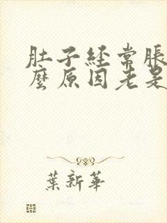 肚子经常胀气什么原因老是放屁