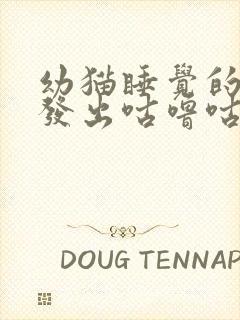 幼猫睡觉的时候发出咕噜咕噜的声音