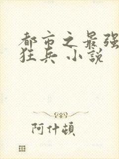 都市之最强特种狂兵 小说