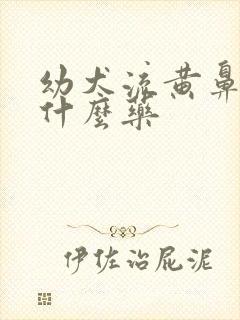 幼犬流黄鼻涕用什么药