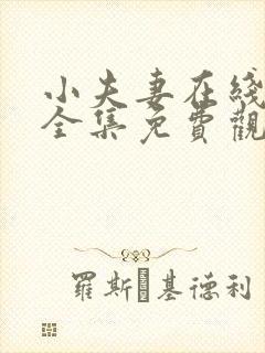 小夫妻在线观看全集免费观看高清