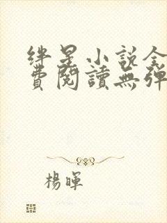 绊星小说全文免费阅读无弹窗