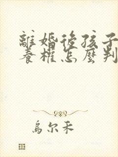 离婚后孩子的抚养权怎么判定封面