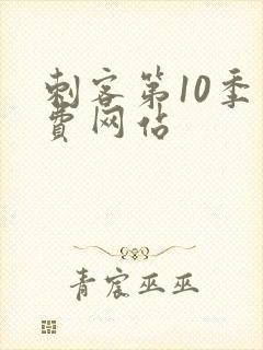 刺客第10季免费网站