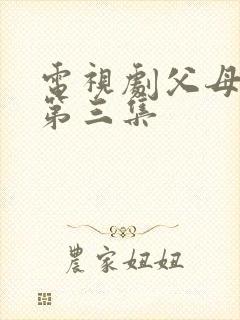 电视剧父母爱情第三集