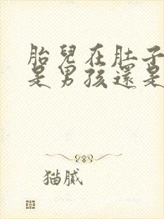 胎儿在肚子左侧是男孩还是女孩