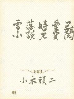 雪落时爱已落幕小说免费阅读