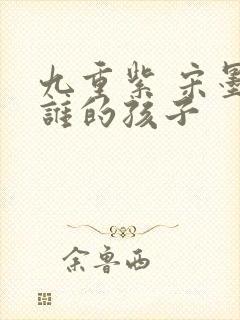 九重紫 宋墨是谁的孩子