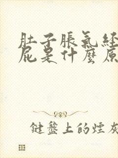 肚子胀气经常放屁是什么原因导致的