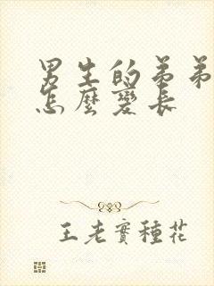 男生的弟弟太短怎么变长