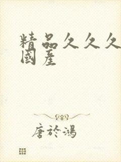 精品久久久久久国产