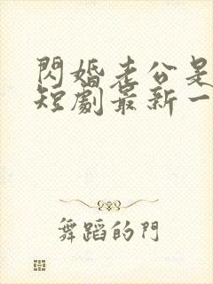 闪婚老公是豪门短剧最新一集