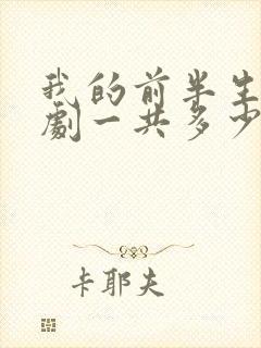 我的前半生电视剧一共多少集