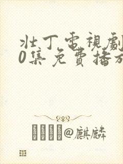 壮丁电视剧全40集免费播放