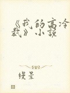 《我的高冷女总裁》小说