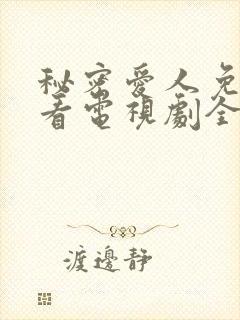 秘密爱人免费观看电视剧全集完整版高清封面