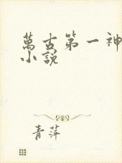 万古第一神原著小说