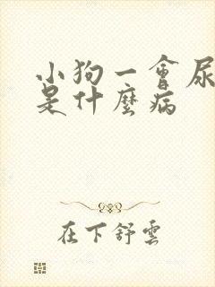 小狗一会尿一点是什么病