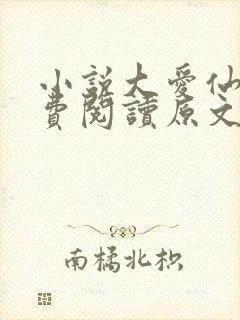 小说大爱仙尊免费阅读原文