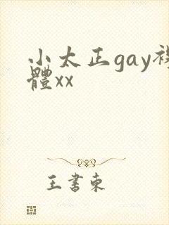 小太正gay裸体xx