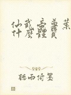 仙武帝尊叶辰是什么体质