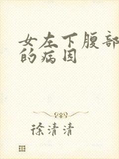 女左下腹部疼痛的病因封面