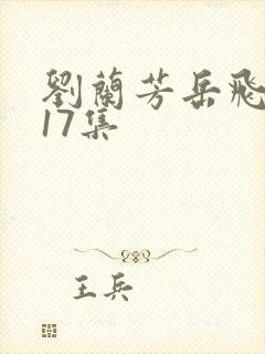 刘兰芳岳飞传117集