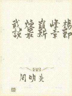 武炼巅峰杨开小说最新章节列表最