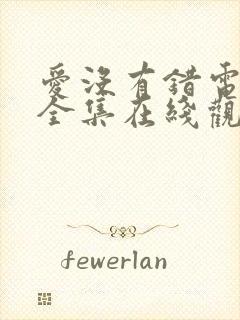 爱没有错电视剧全集在线观看24集