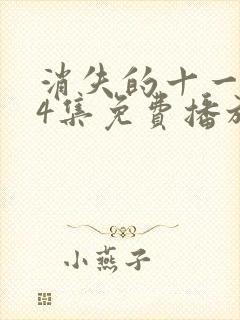 消失的十一层24集免费播放电视剧全部