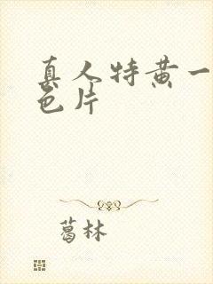 真人特黄一级黄色片