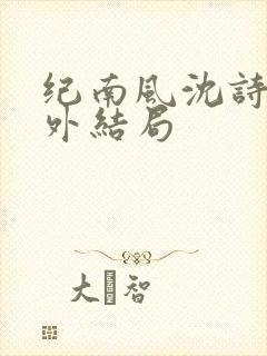 纪南风沈诗澜番外结局